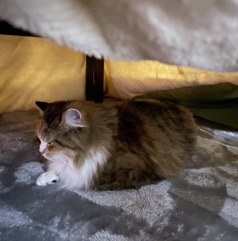 F9F478A9-9739-4D18-9C09-F6C607B76157