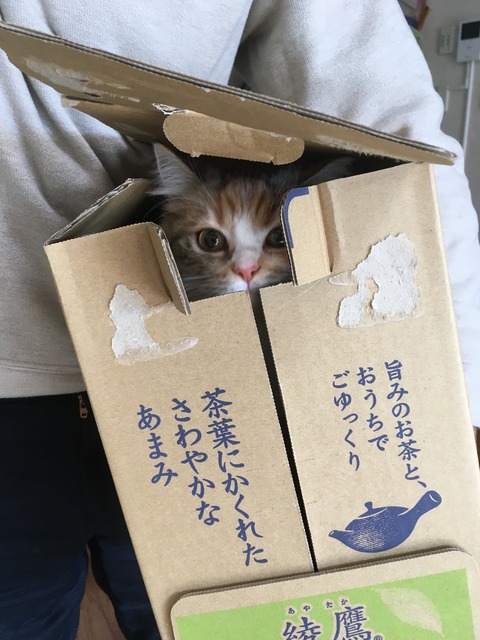 E892FB5A-CBAB-4B54-B575-B22D211C2479