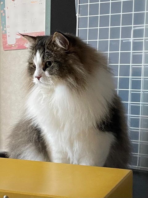 458CD390-7BF3-4142-AB18-B51CD32631C7