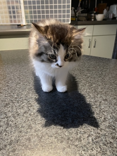 D750B724-B592-40EB-A3B3-49609C5FABEB