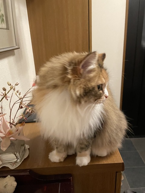 9A4EE2A7-E1AF-4806-971F-7526771AB8A9