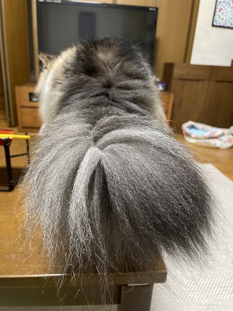 F61319AE-0F40-4BDA-8CC3-606C49E308D9