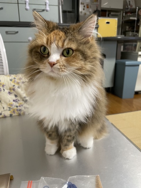 87F8B011-6A8E-4AB4-B44D-3D7AA09CCFAA