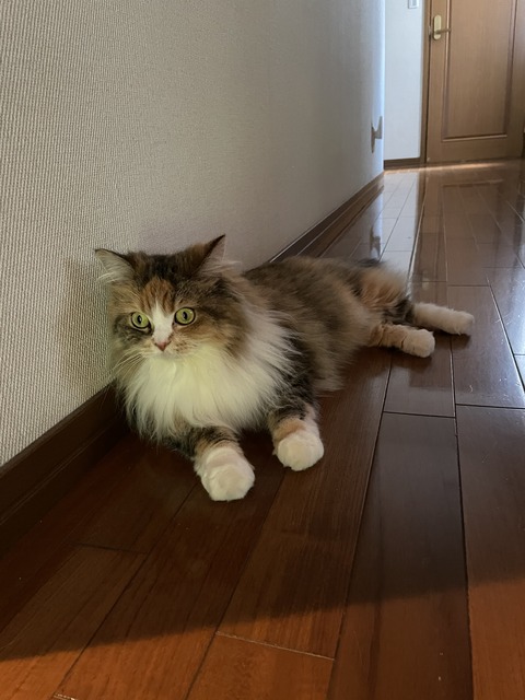 973B0EC4-7E1D-47F1-A36F-B5743D3E40EC