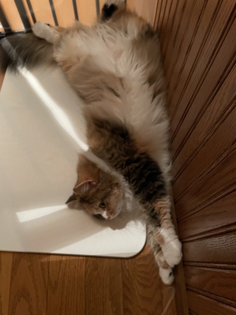 1F118FFC-17DA-4EDE-8C17-B00AB397FDB5