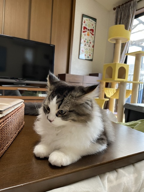 66444890-E3E3-4040-90E7-34BCE6CC9905