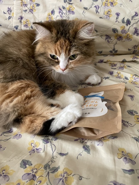 993964B6-CB33-4135-9980-281BBF8E6099