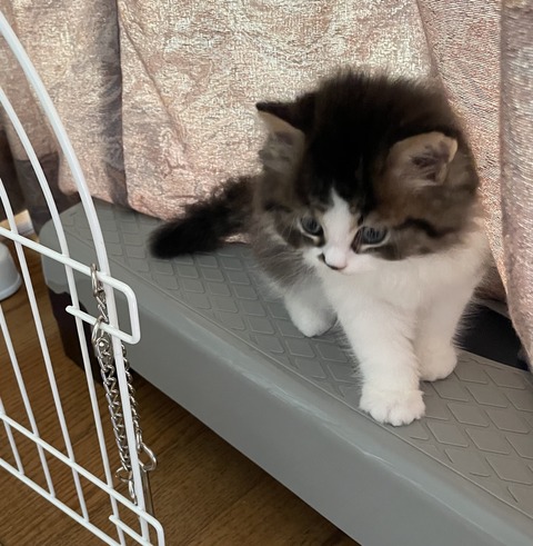 393D747E-8D3A-4000-BA17-7626390122EC