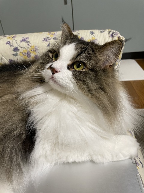 D71F92DA-8030-4220-B31B-F85DE90C877A