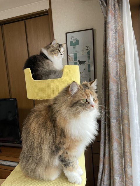 6030A7D6-3DC6-4016-87FC-18C106EBC124