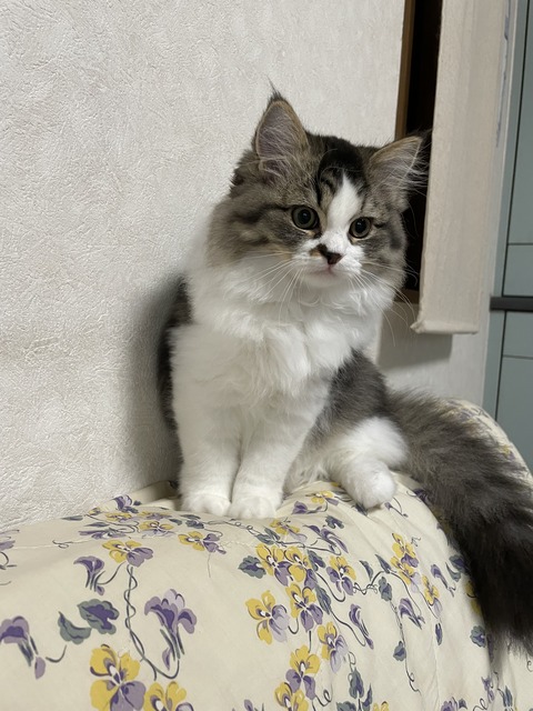 A678A96C-024B-42CB-A070-7DCC048B1B2F