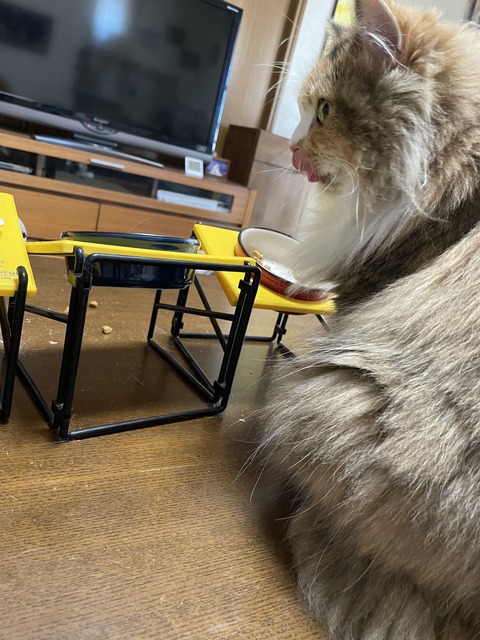 0B7ED62E-C782-4606-92E7-F7D14B603796