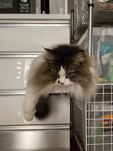 F9F88C36-2182-49FA-AD0A-8235B901A876