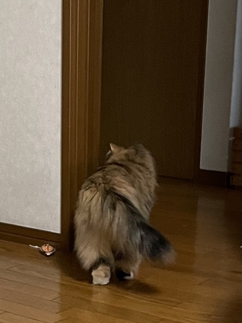 D72103D9-5491-4DBE-A216-32E372DD966E