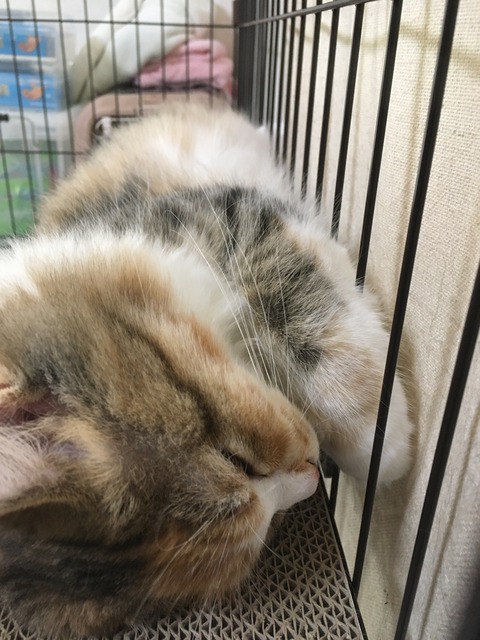 1503BD52-7D3E-4404-8C5B-1722C94176C5