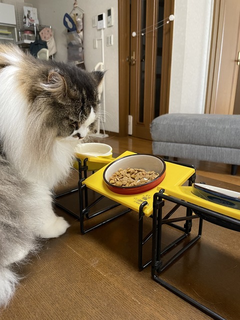 971A504E-D4DE-4659-8417-B14C4E2E5E08