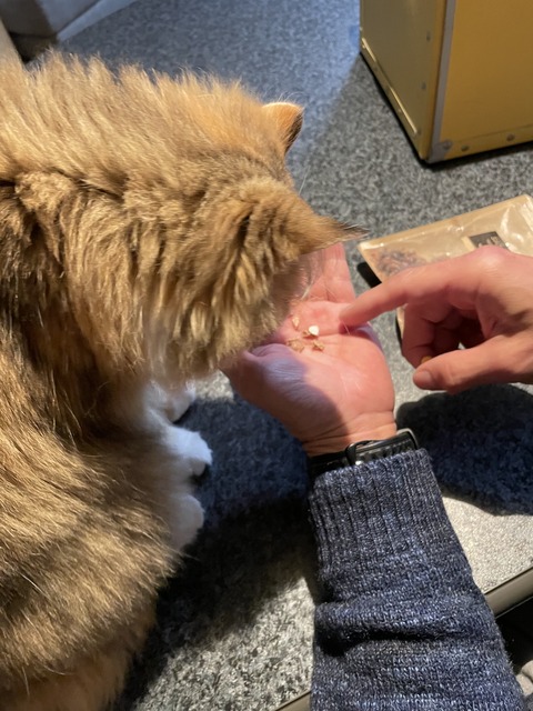 D3DE7727-CB2D-4926-8DB7-8F497372E584