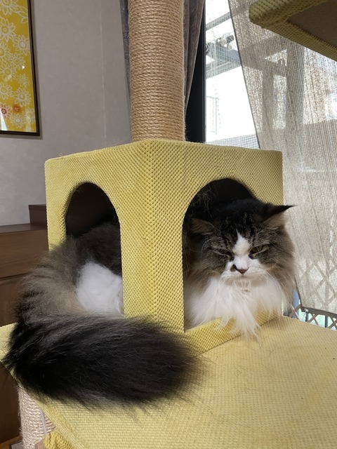 67E9D036-10B9-4D1B-9252-094CDE9B5C47