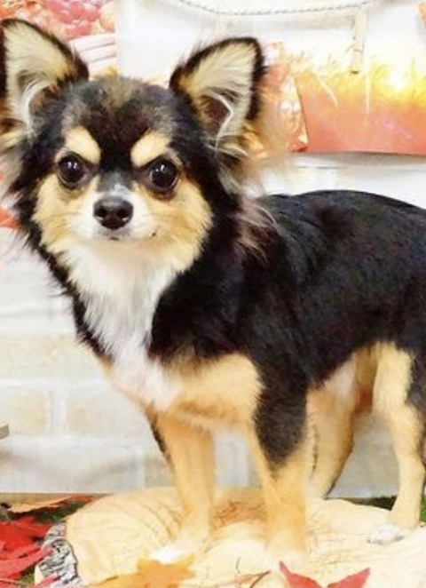 EFF0DF32-DE4A-4370-B865-2F661F8FE105