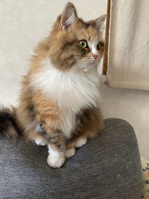 0F2FA62C-A834-48EB-9906-9264708EA8E6