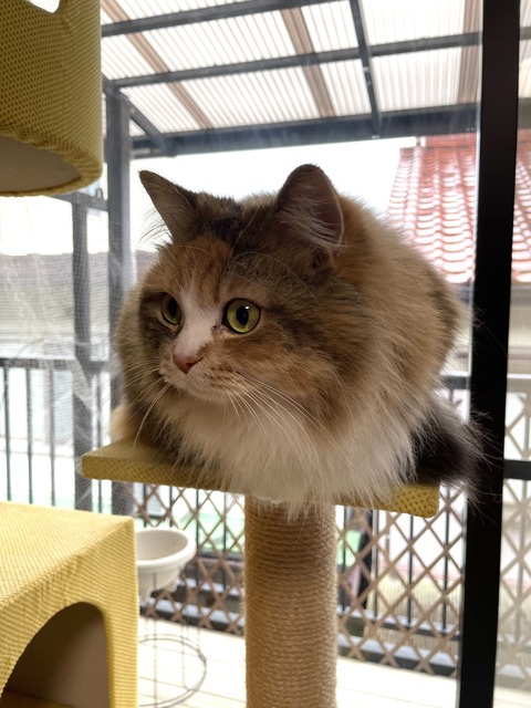 A5986139-CE8D-44D7-9F6A-F11B451656A4