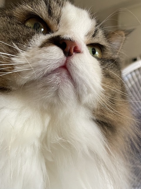 3402626E-AE31-4139-919B-FBA65F8261BA