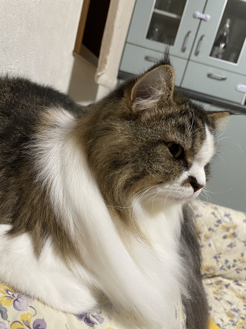 A3D1D582-3ACB-42AA-8ECC-137B6C5FCD89