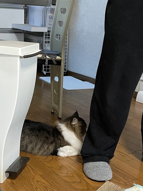 E7C60F2A-1B9B-49B4-8738-95144BF9CCBA