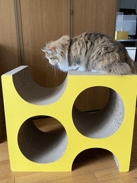 22428747-21AE-4536-82C9-4FF141DA27FC