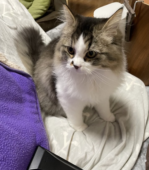 5419AA58-ED5B-4B18-8252-1C4D58E06C73