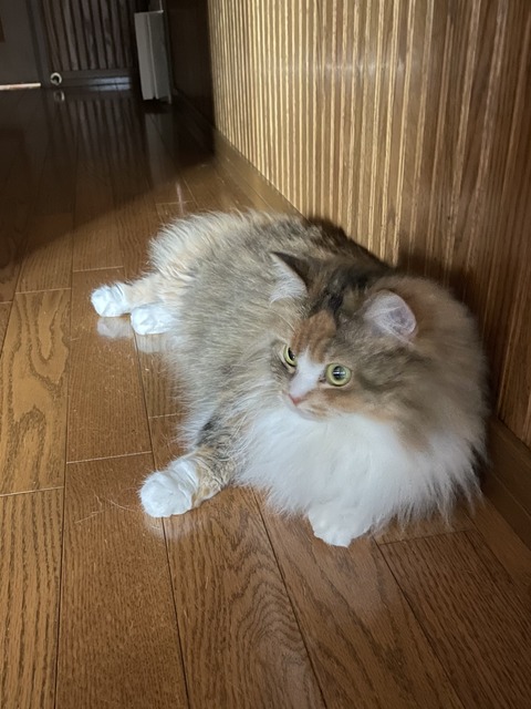 F7A78AED-464C-40DE-9B7B-BFB0E84A37C8