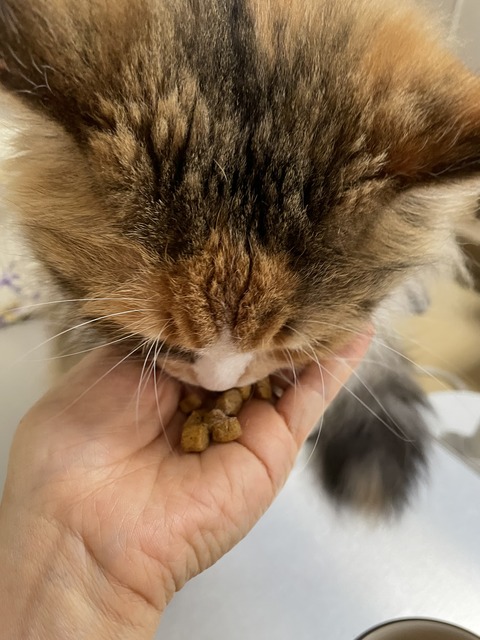 BC3419DD-6330-4BE6-83FB-C85152FC813A