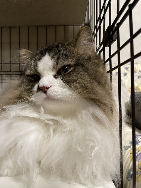 F15C2685-19FD-4CC5-8846-29E14895E6A7