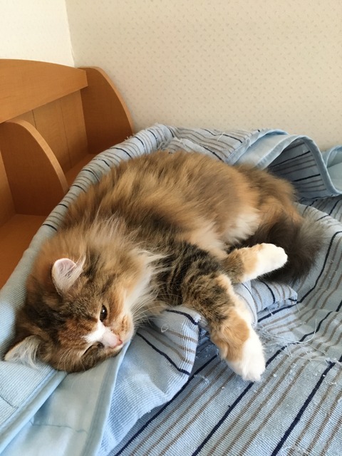 EAD28860-09AE-4256-8CBE-69A1D5459A2D