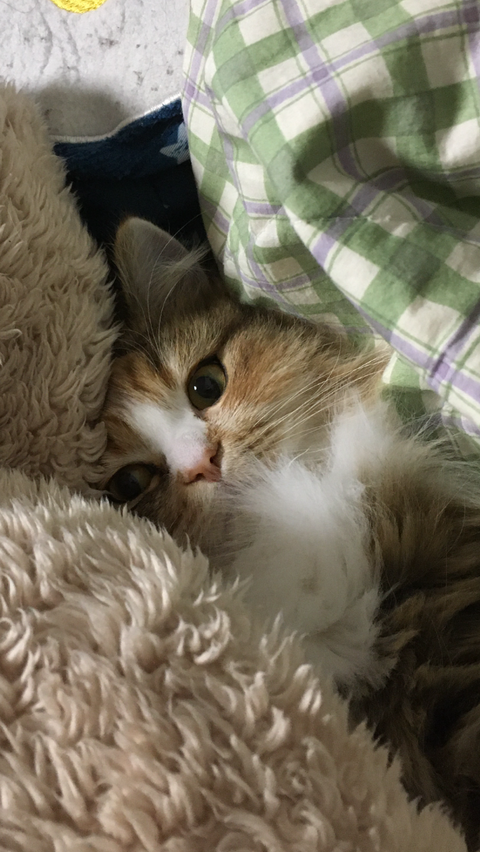 DFB30A79-B053-41E2-947C-80CE74BCCCB5