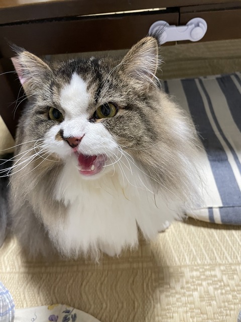 F3A7E02A-4369-40AB-AF5F-3FE652978584