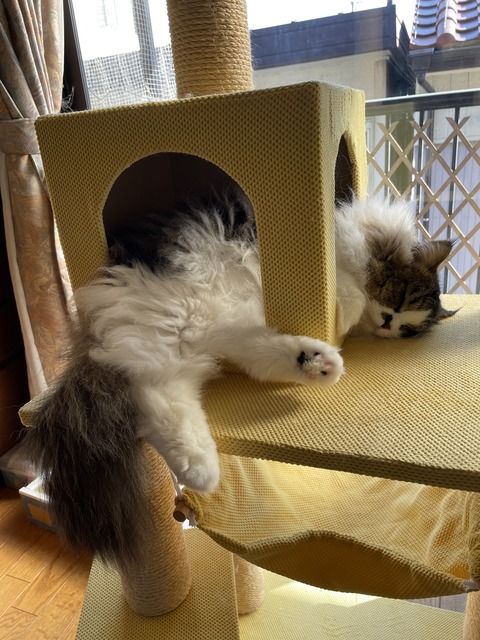 DE68FF84-E1CF-4252-8283-54A178A440CC