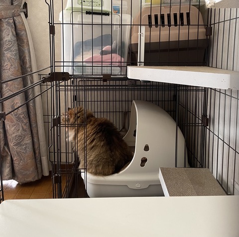 F5672216-4356-43C1-ABDA-754EAB1CCB46