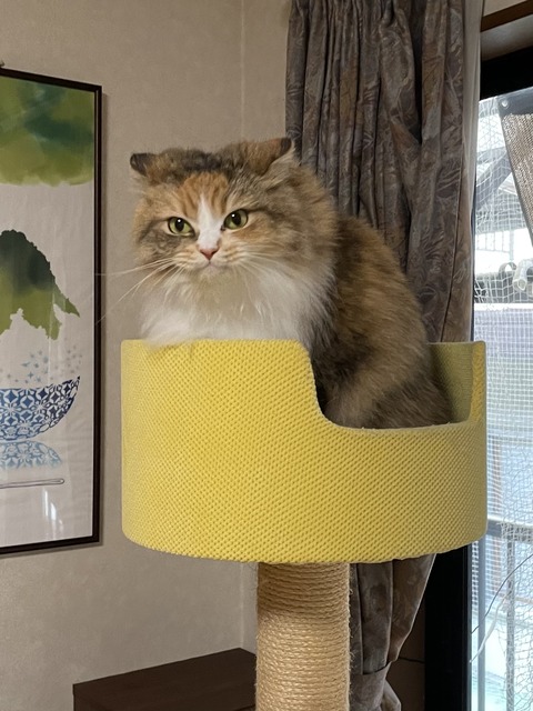 EA127A40-3E3A-414C-8F30-B6EA381D5E38