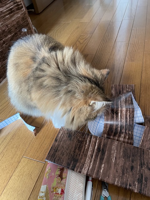 A638093B-F3D4-4DFB-958E-5232B0F630B2