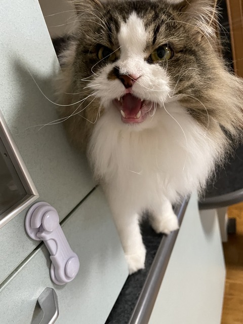 8BDEB7F0-3A4C-4611-91F1-57163CC007E0