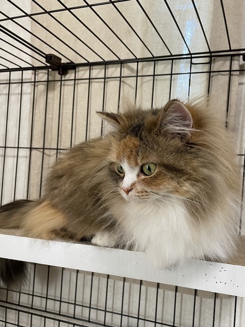 57C76493-439D-4EE8-AE99-BA7F4D0AFF02