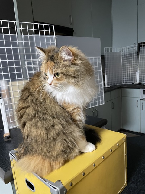 2496BF48-2A35-40D9-A161-5FACC88788CD