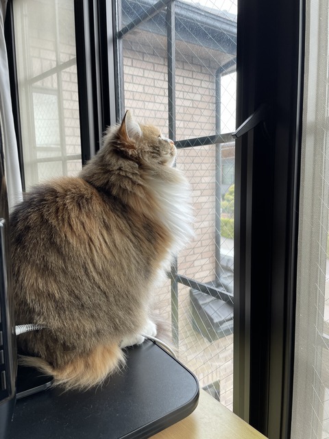 104AF083-75D3-4569-BBB2-047C0F8D01EE