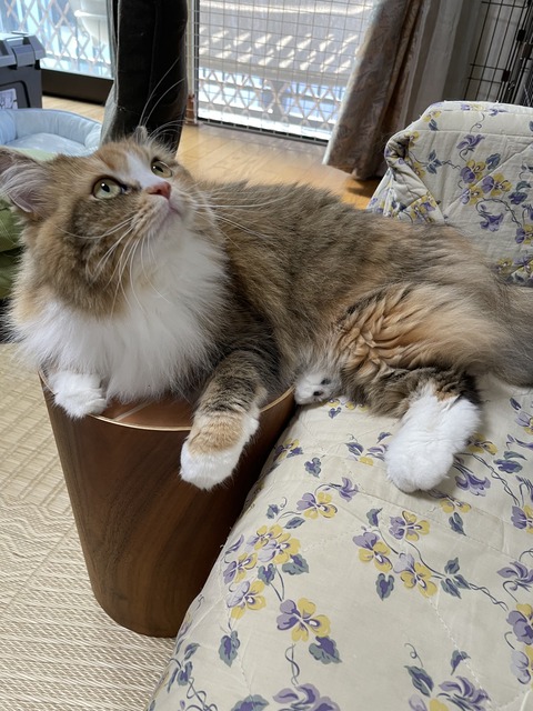 39476ED0-E5C6-4C9E-A206-354D7D5D785B