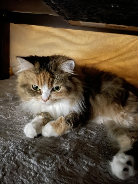 1A5CA93B-FC95-4516-857A-E7A828E1B2D5