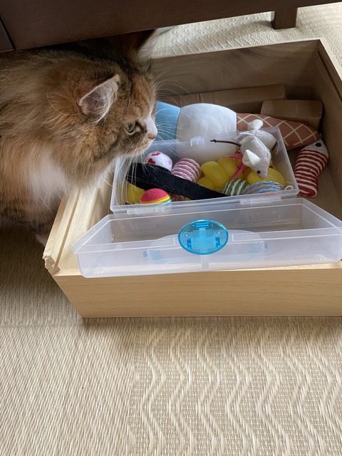 728C6231-5754-4001-911F-B7C6FA285CFD