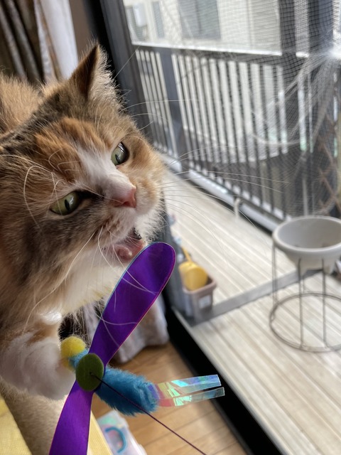 5CE8AE1E-B606-4ACB-8268-B590591A52EE