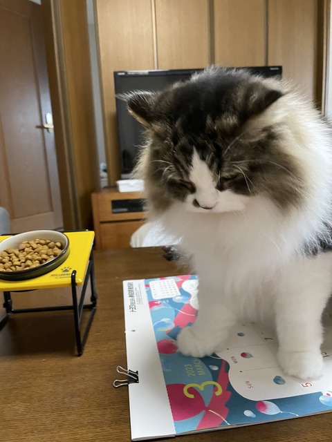 93DF97E4-1E05-4CA0-8290-2A315AD09FC0