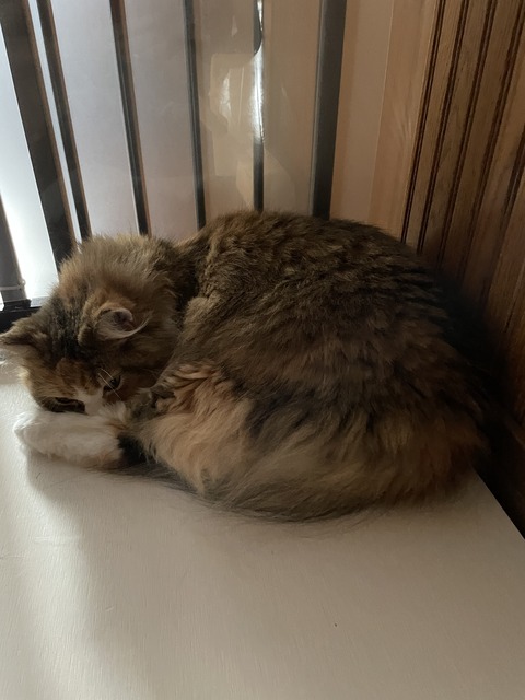 1B2D67EC-EBB9-4F0C-B092-5026C0B08DF5